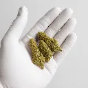 20250824_0307_Mano con Guante Blanco_remix_01k3dhrwgff0gspr27am5k4wsp.webp
