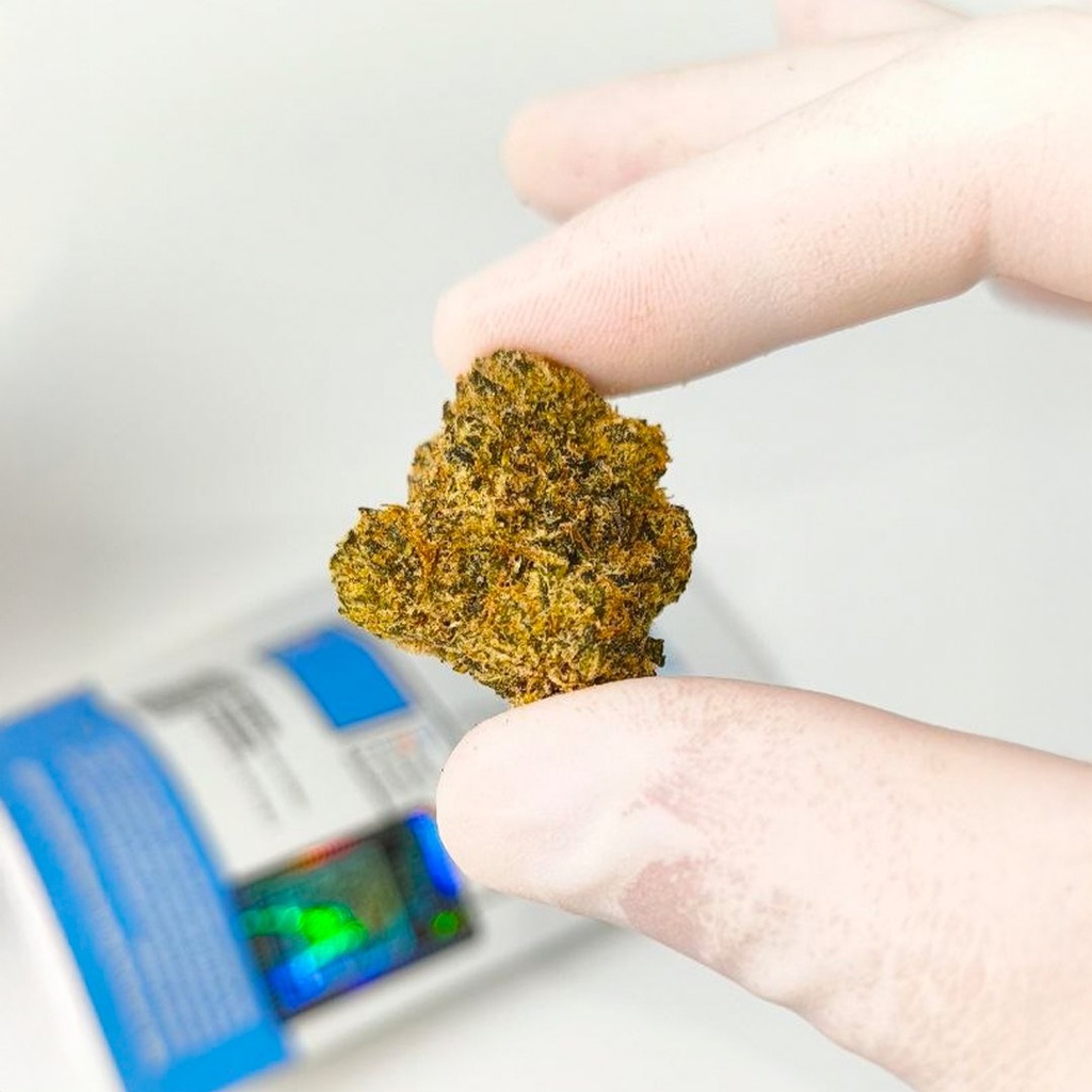 Gorilla glue 04