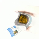 LEmon cherry gelato 02