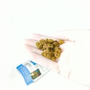 LEmon cherry gelato 03