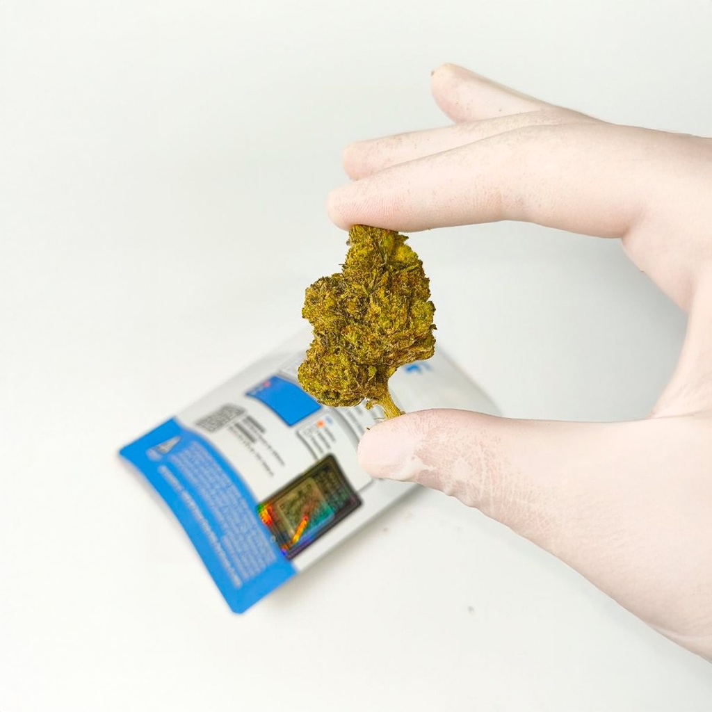 White cheerry gelato 04