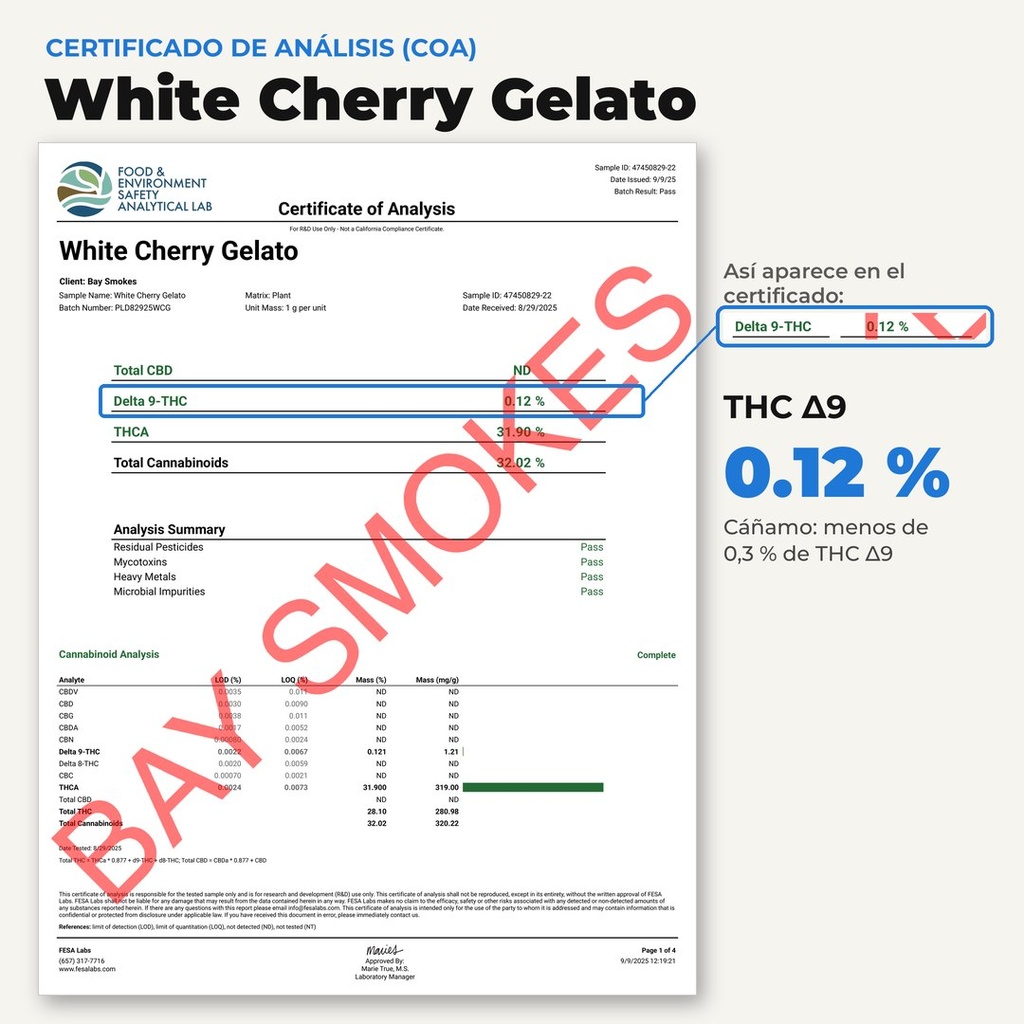 COA White Cherry Gelato 06